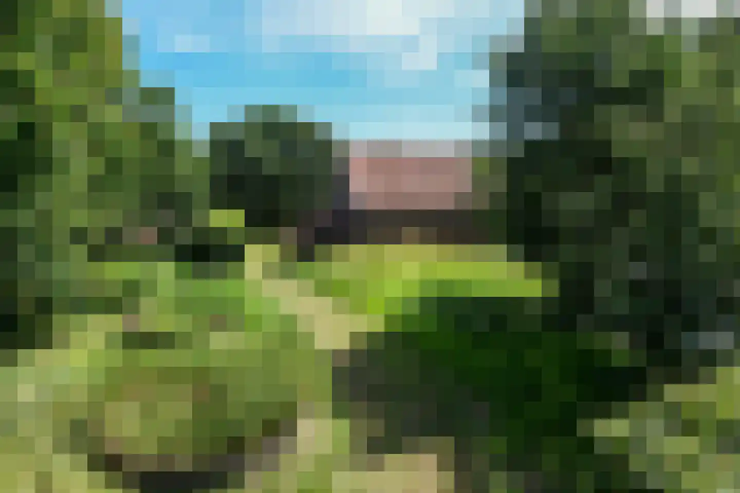Uffelsestraat 5 Haler thumbnail 57
