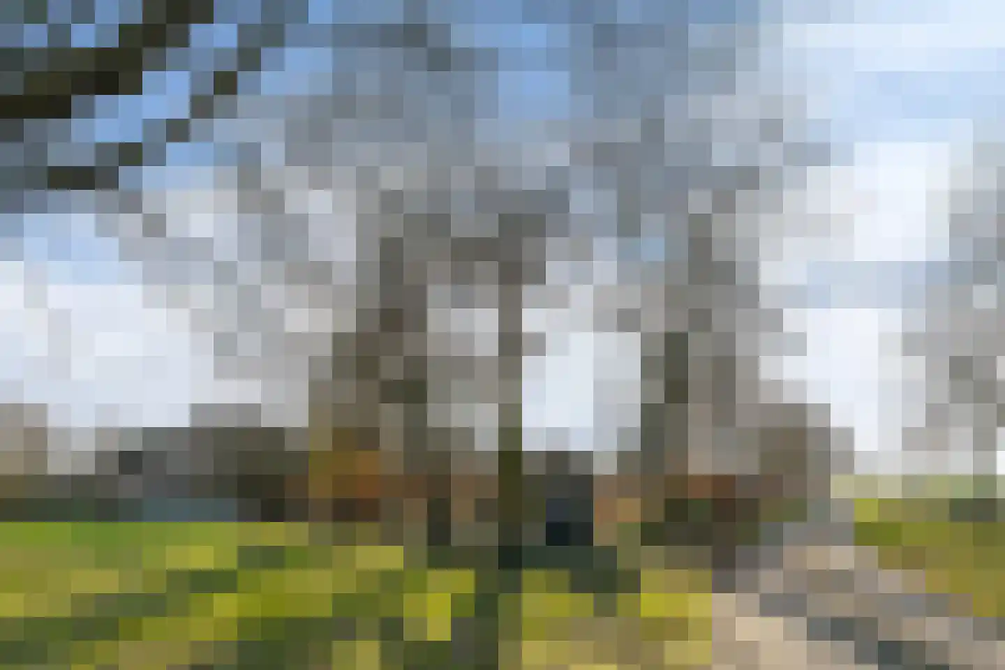 Uffelsestraat 5 Haler thumbnail 6