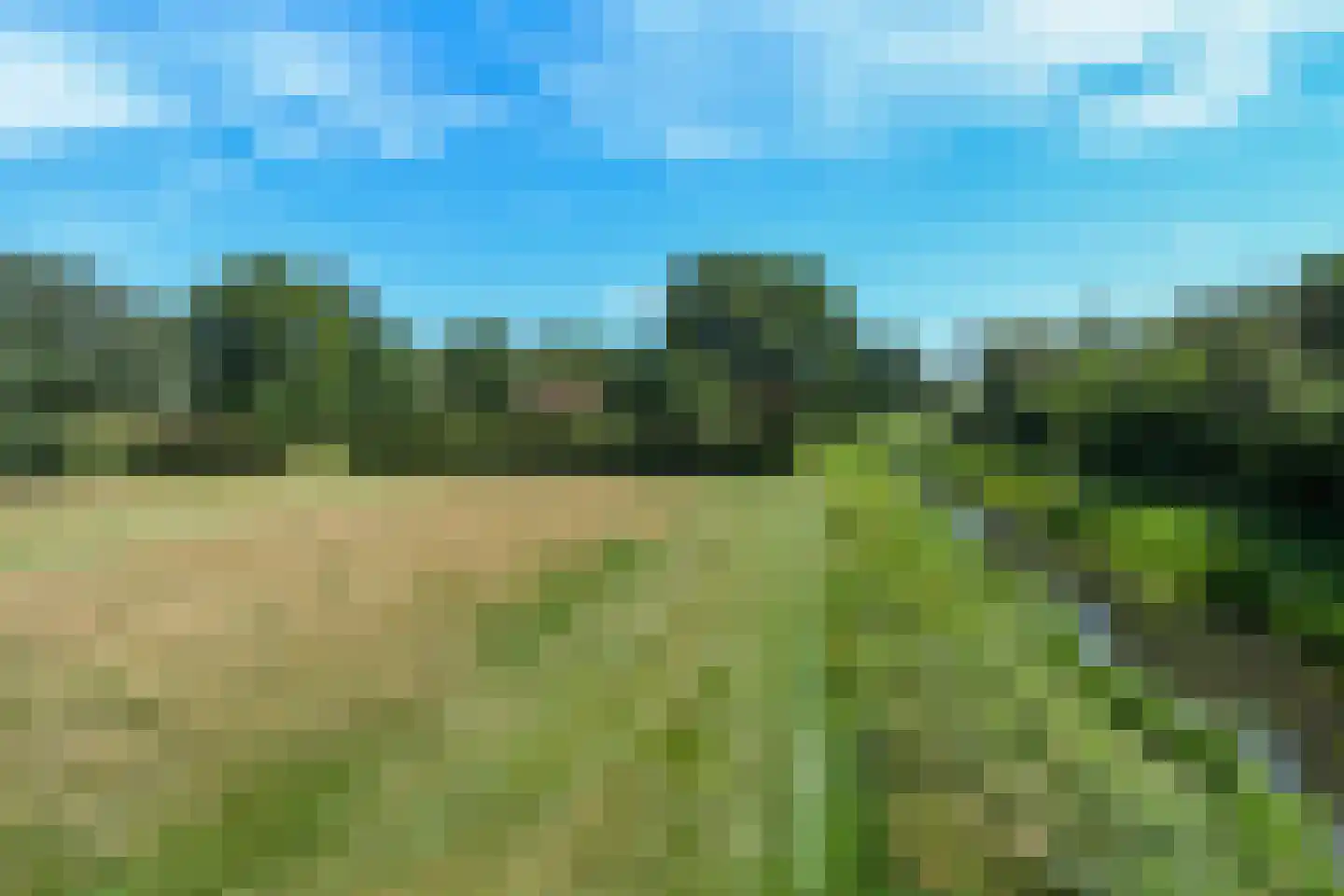Uffelsestraat 5 Haler thumbnail 62
