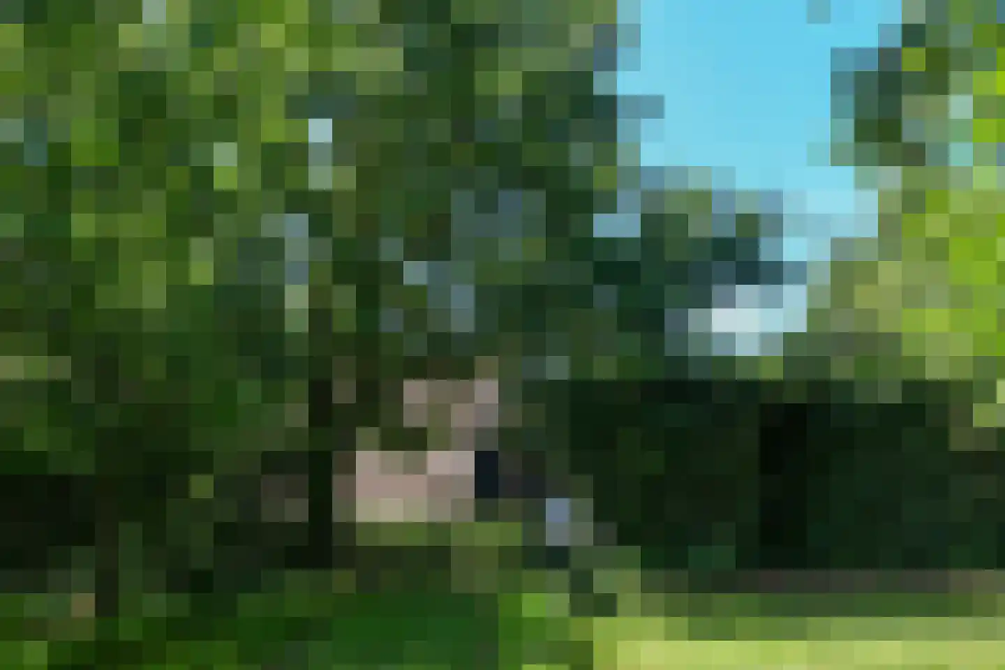 Uffelsestraat 5 Haler thumbnail 7