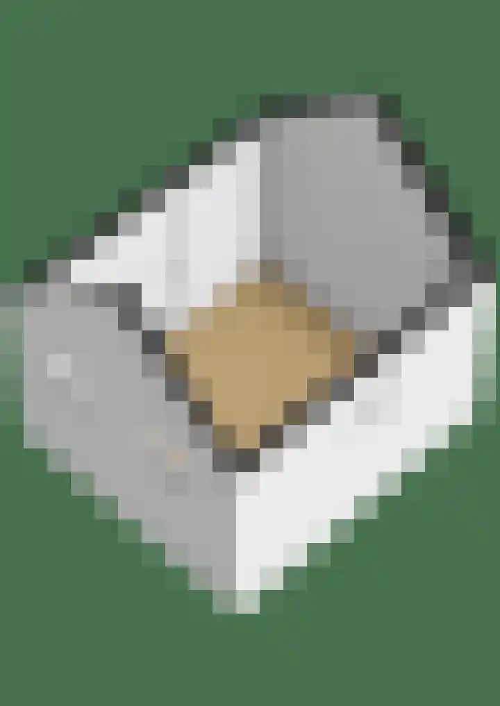Uffelterkerkweg 3 Havelte thumbnail 103