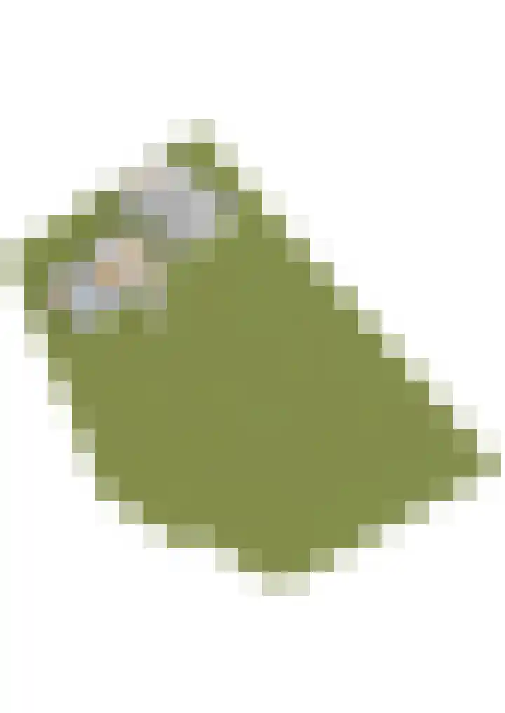 Uffelterkerkweg 3 Havelte thumbnail 107