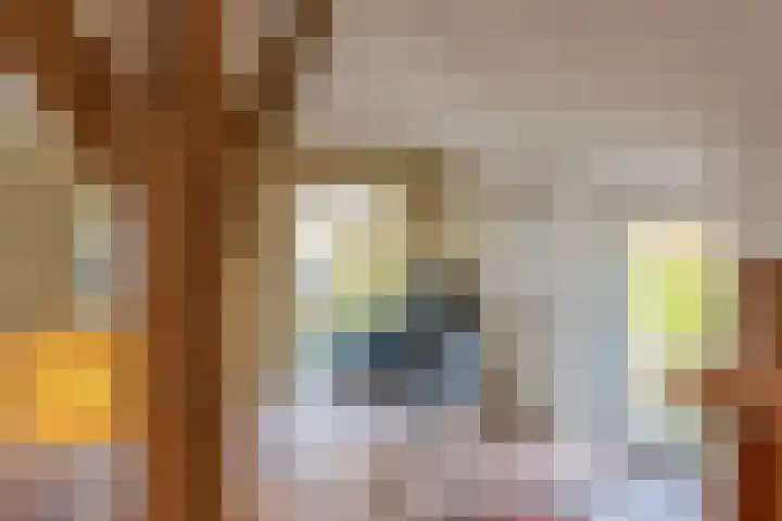 Uffelterkerkweg 3 Havelte thumbnail 15