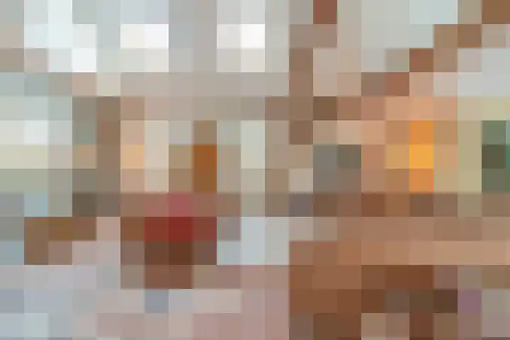 Uffelterkerkweg 3 Havelte thumbnail 19