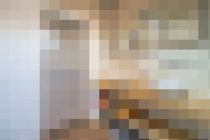 Uffelterkerkweg 3 Havelte thumbnail 22