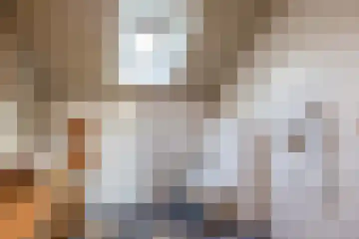 Uffelterkerkweg 3 Havelte thumbnail 24