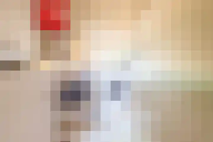 Uffelterkerkweg 3 Havelte thumbnail 25