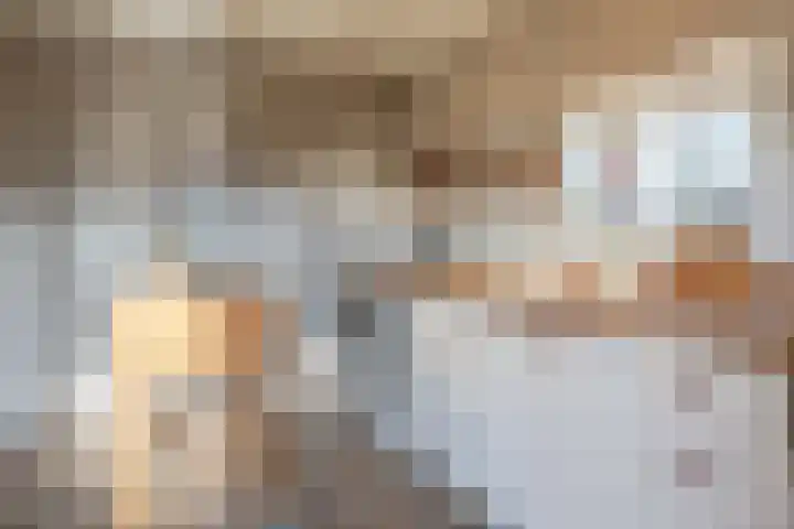 Uffelterkerkweg 3 Havelte thumbnail 29