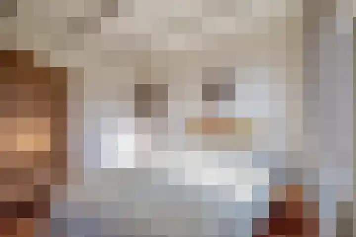 Uffelterkerkweg 3 Havelte thumbnail 33