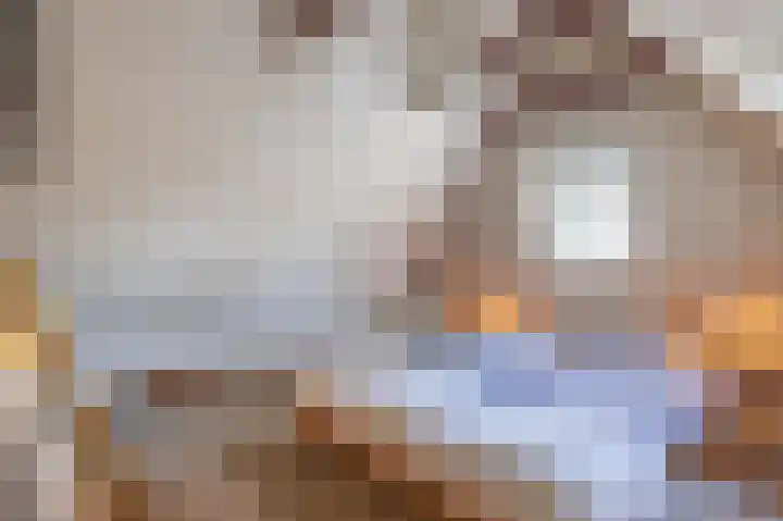 Uffelterkerkweg 3 Havelte thumbnail 38