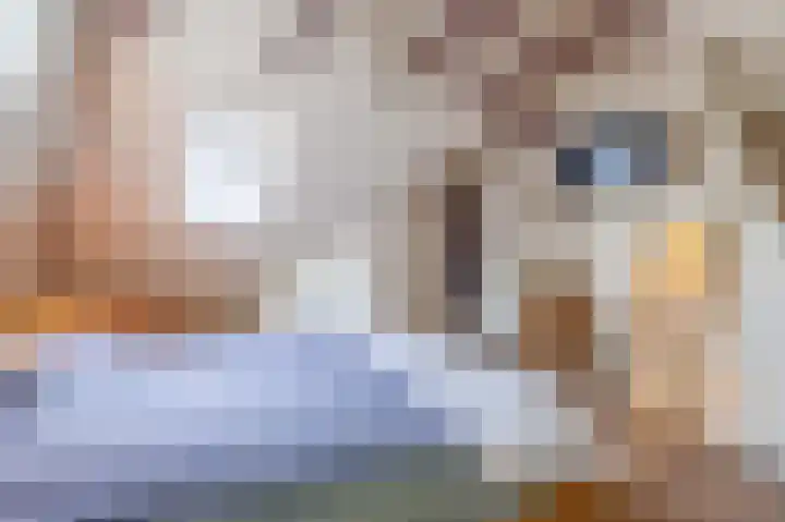 Uffelterkerkweg 3 Havelte thumbnail 39
