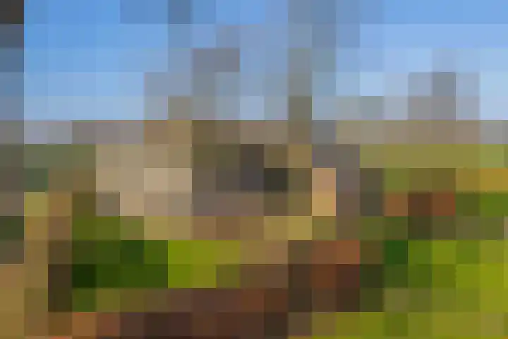 Uffelterkerkweg 3 Havelte thumbnail 4