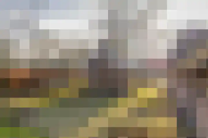Uffelterkerkweg 3 Havelte thumbnail 49