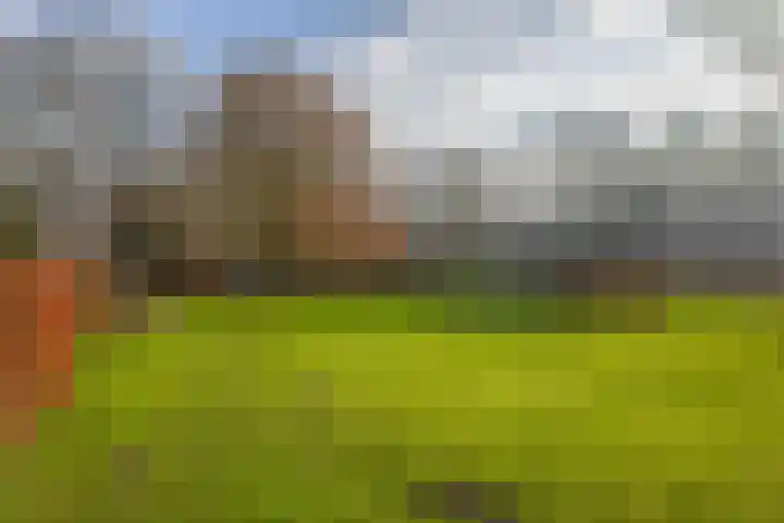 Uffelterkerkweg 3 Havelte thumbnail 5