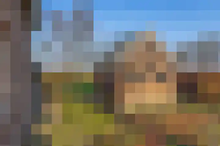 Uffelterkerkweg 3 Havelte thumbnail 50