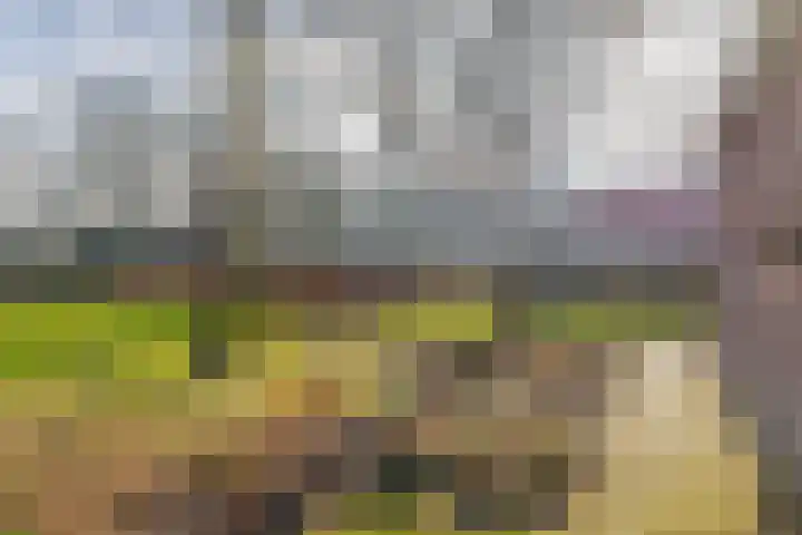 Uffelterkerkweg 3 Havelte thumbnail 54