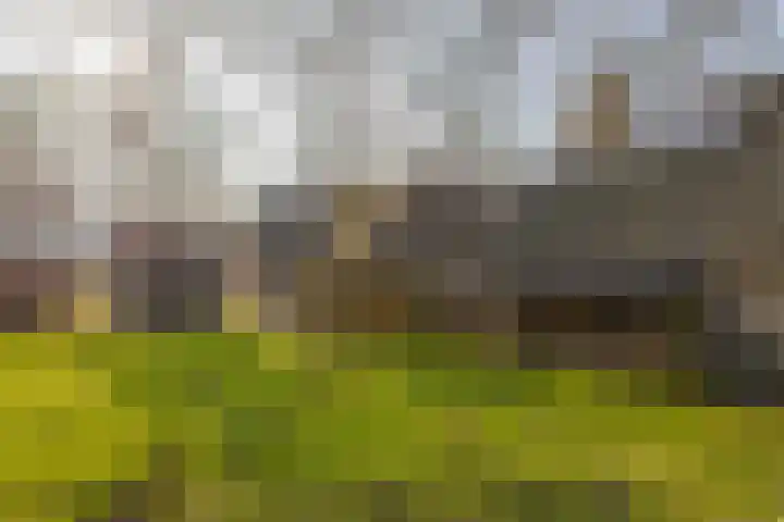 Uffelterkerkweg 3 Havelte thumbnail 55