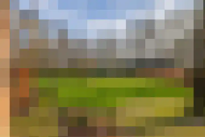 Uffelterkerkweg 3 Havelte thumbnail 56