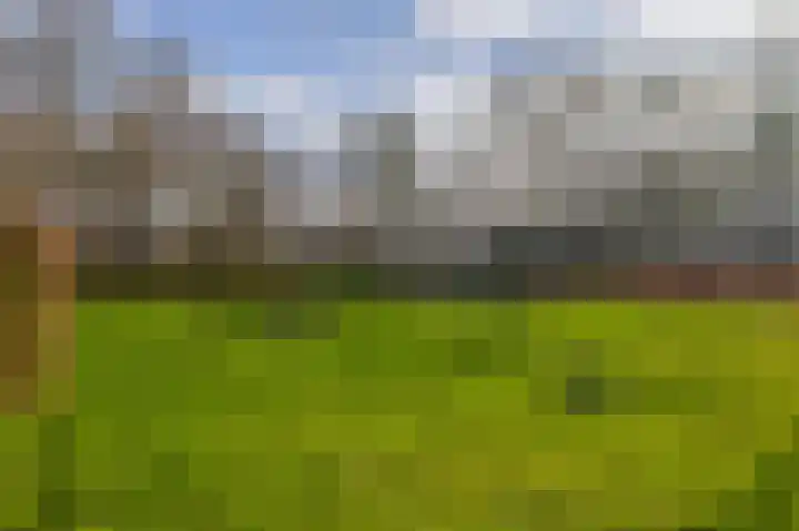 Uffelterkerkweg 3 Havelte thumbnail 57