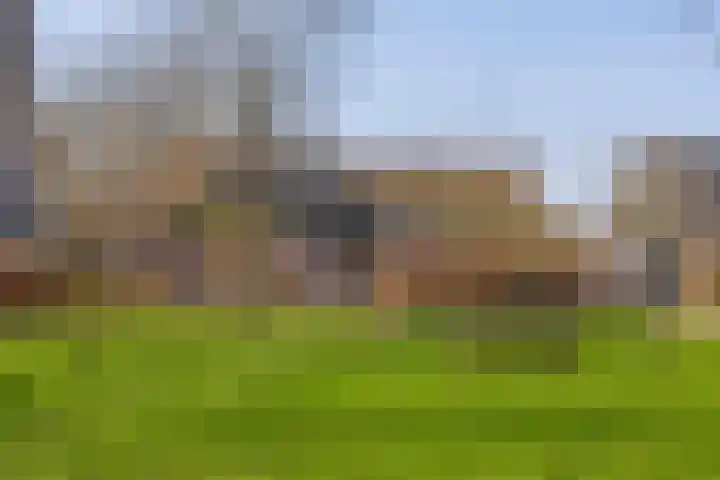 Uffelterkerkweg 3 Havelte thumbnail 58