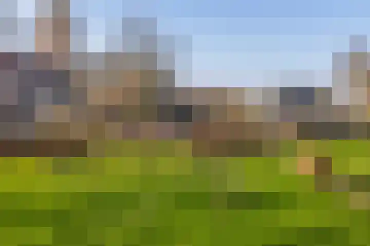 Uffelterkerkweg 3 Havelte thumbnail 59