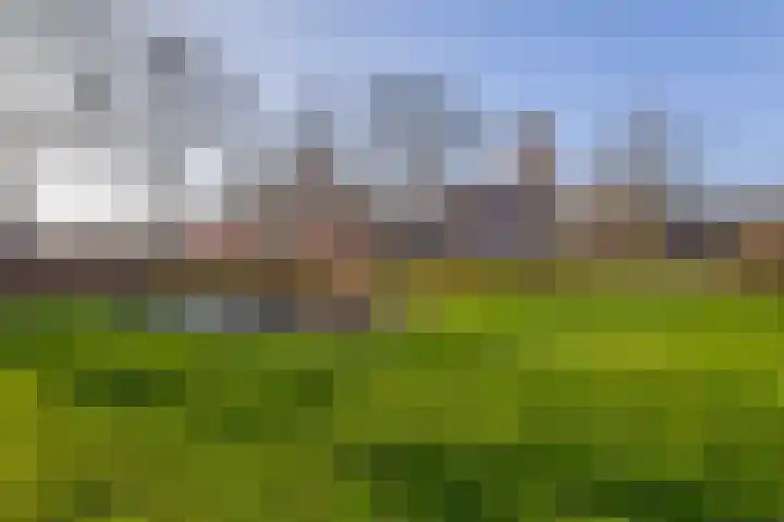 Uffelterkerkweg 3 Havelte thumbnail 60