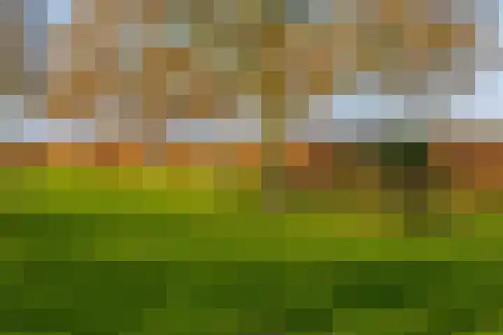 Uffelterkerkweg 3 Havelte thumbnail 62