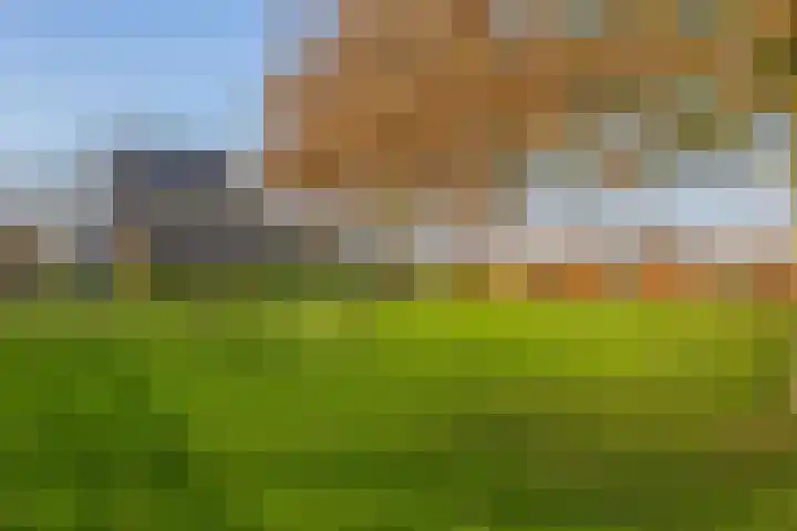 Uffelterkerkweg 3 Havelte thumbnail 63