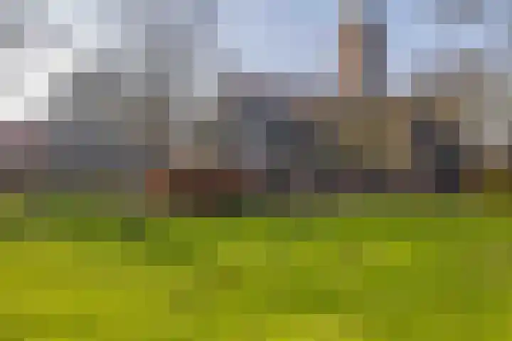 Uffelterkerkweg 3 Havelte thumbnail 64
