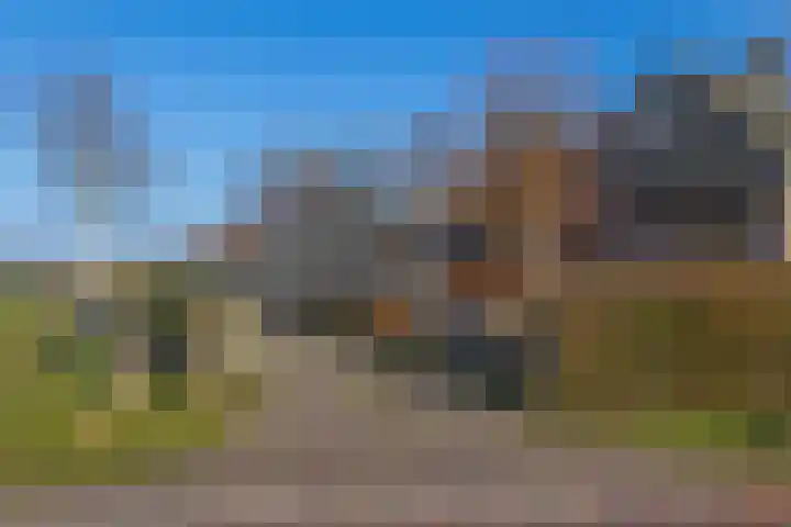 Uffelterkerkweg 3 Havelte thumbnail 66