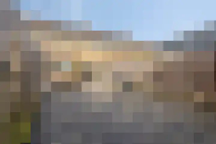 Uffelterkerkweg 3 Havelte thumbnail 67