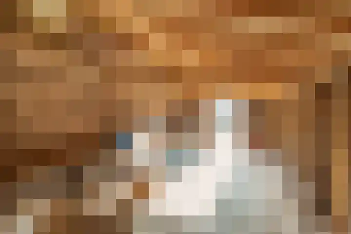 Uffelterkerkweg 3 Havelte thumbnail 68
