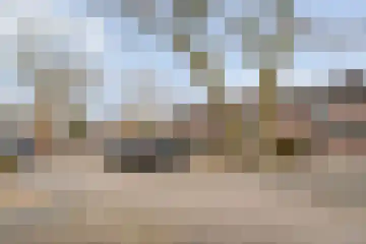 Uffelterkerkweg 3 Havelte thumbnail 71