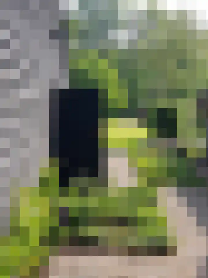 Uffelterkerkweg 3 Havelte thumbnail 71