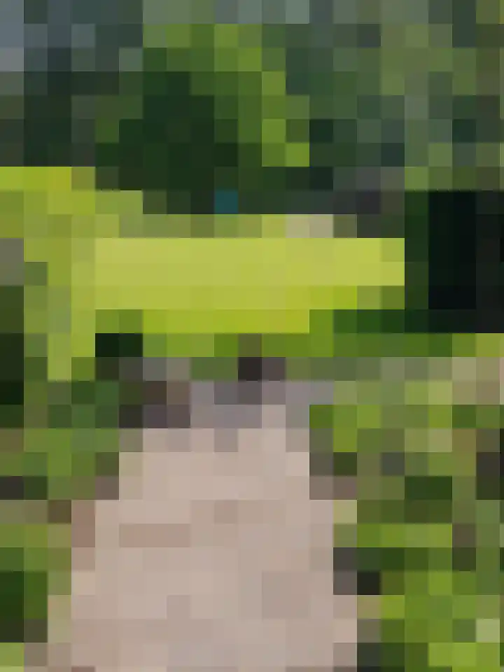 Uffelterkerkweg 3 Havelte thumbnail 73