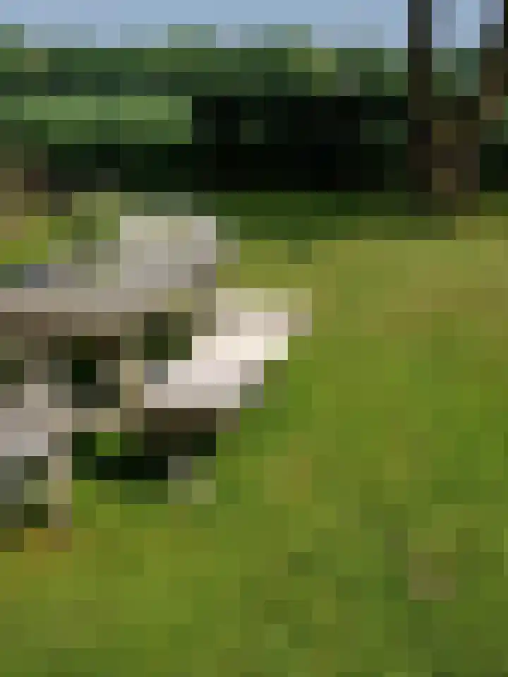 Uffelterkerkweg 3 Havelte thumbnail 75
