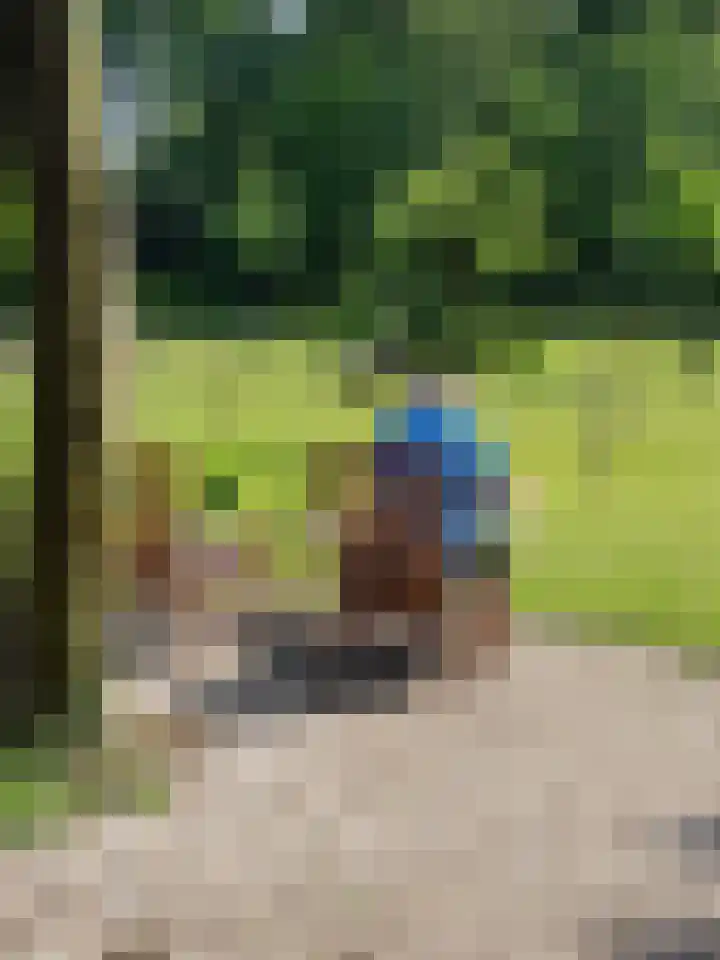 Uffelterkerkweg 3 Havelte thumbnail 76