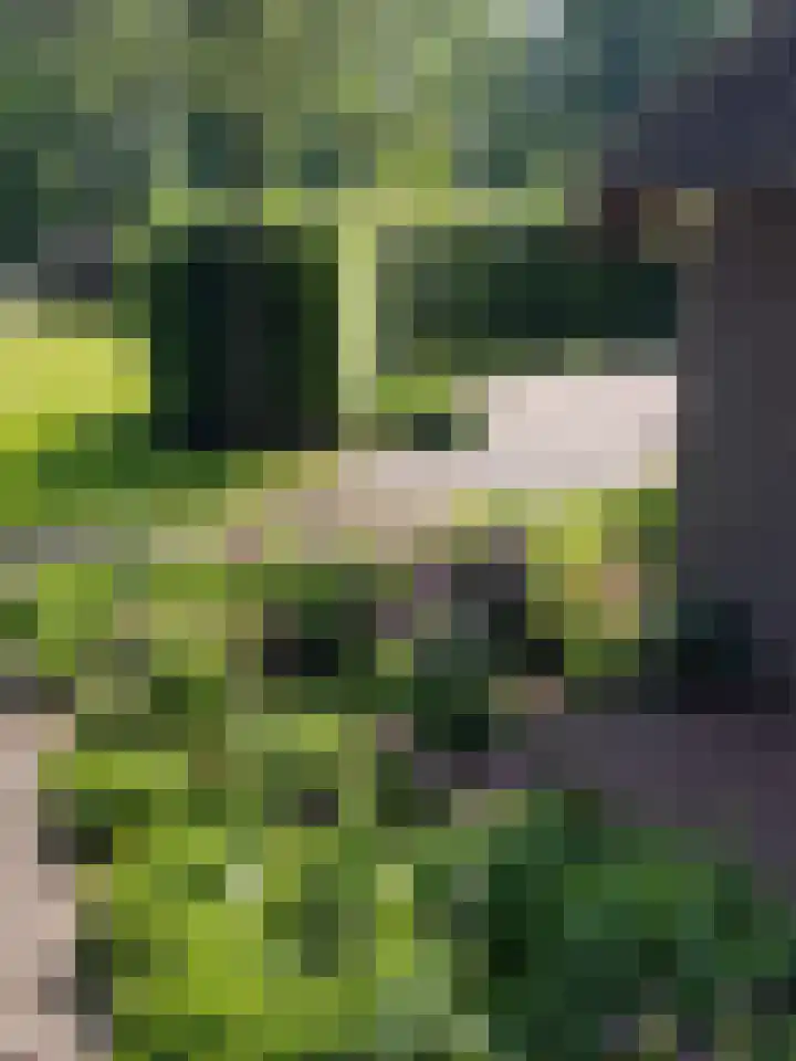Uffelterkerkweg 3 Havelte thumbnail 77