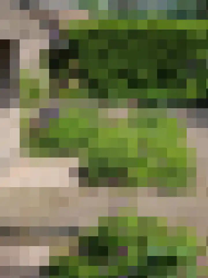 Uffelterkerkweg 3 Havelte thumbnail 78