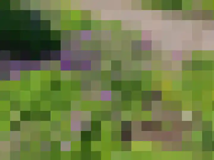 Uffelterkerkweg 3 Havelte thumbnail 79