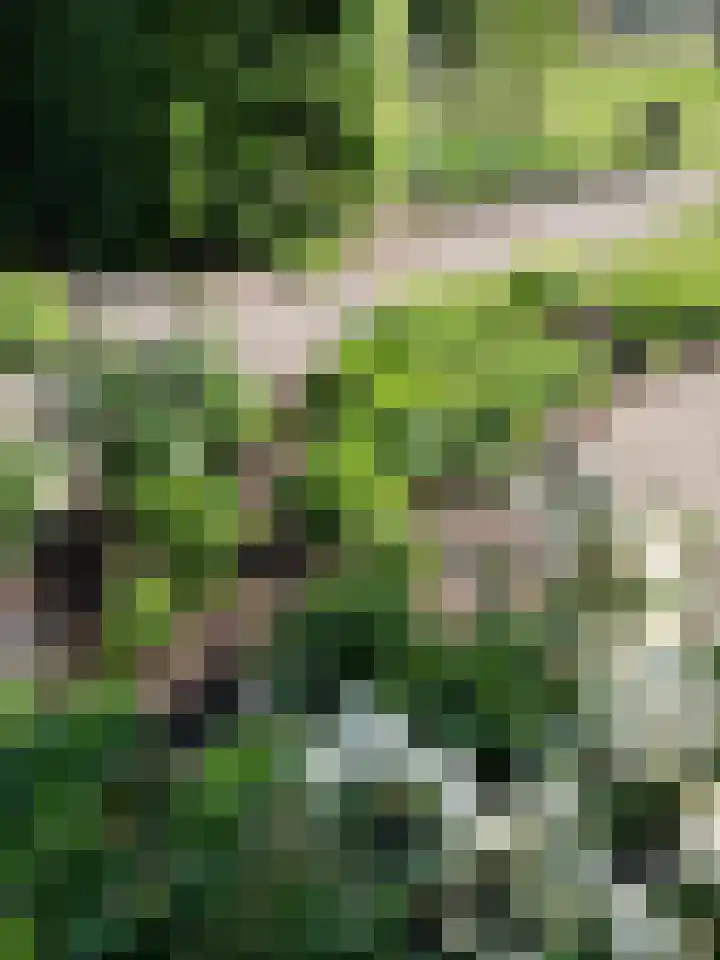 Uffelterkerkweg 3 Havelte thumbnail 80