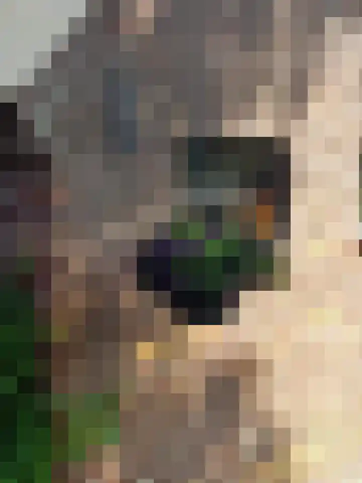 Uffelterkerkweg 3 Havelte thumbnail 81
