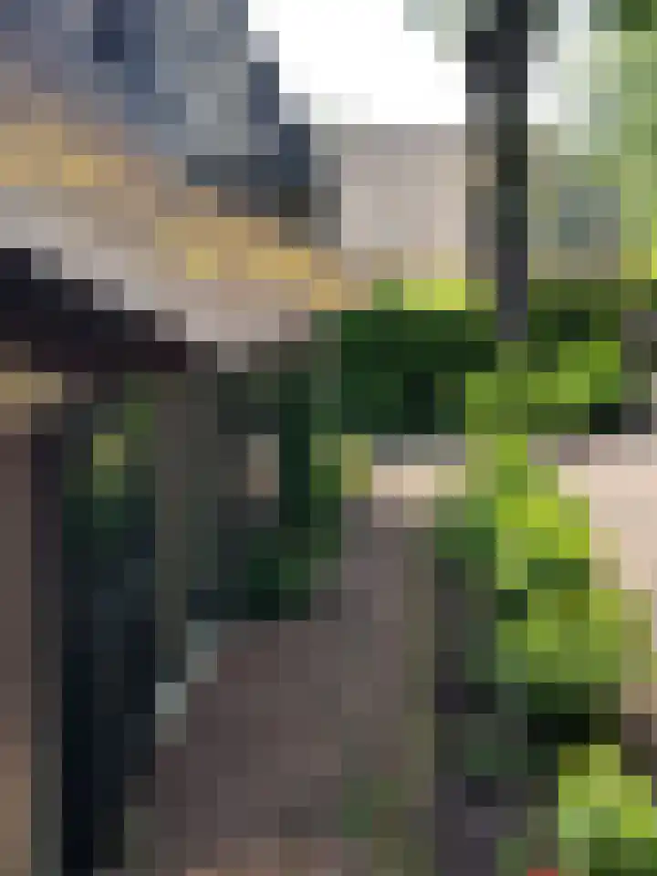 Uffelterkerkweg 3 Havelte thumbnail 82
