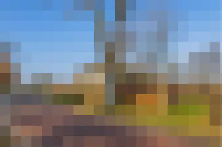 Uffelterkerkweg 3 Havelte thumbnail 85