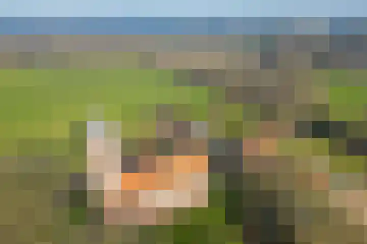 Uffelterkerkweg 3 Havelte thumbnail 87