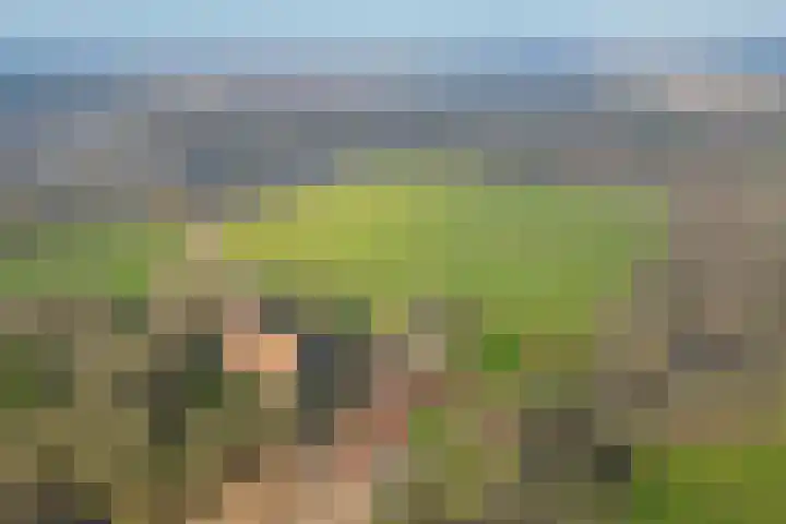 Uffelterkerkweg 3 Havelte thumbnail 88