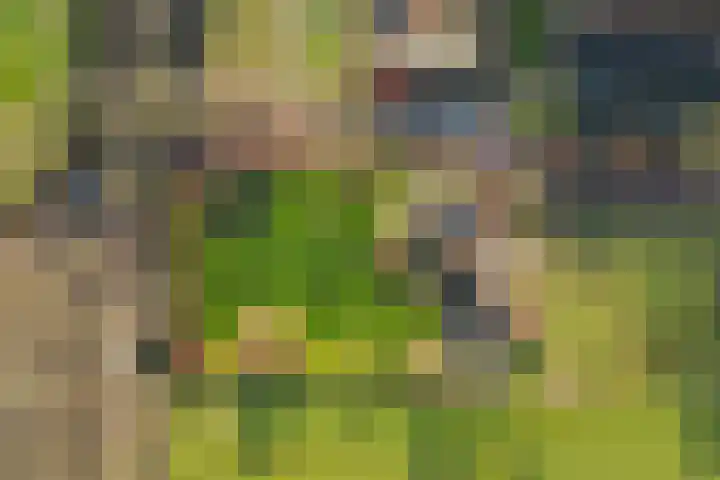 Uffelterkerkweg 3 Havelte thumbnail 89