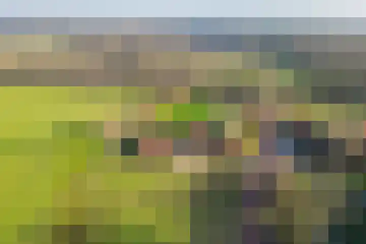 Uffelterkerkweg 3 Havelte thumbnail 90