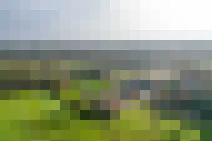 Uffelterkerkweg 3 Havelte thumbnail 91