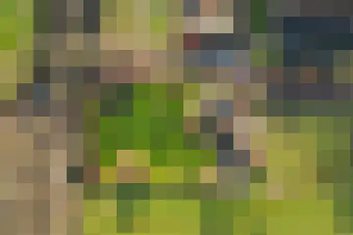 Uffelterkerkweg 3 Havelte thumbnail 92